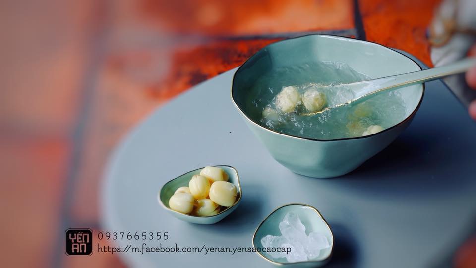 Yến Tổ biển Cần Giờ và biển Bình Thuận